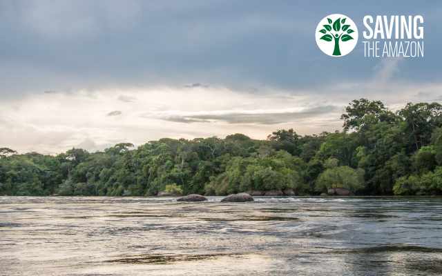 Saving the Amazon Wasserkreislauf